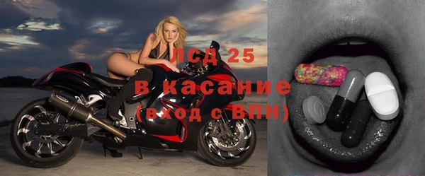 ГАЛЛЮЦИНОГЕННЫЕ ГРИБЫ Заволжье