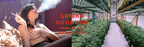стафф Заводоуковск