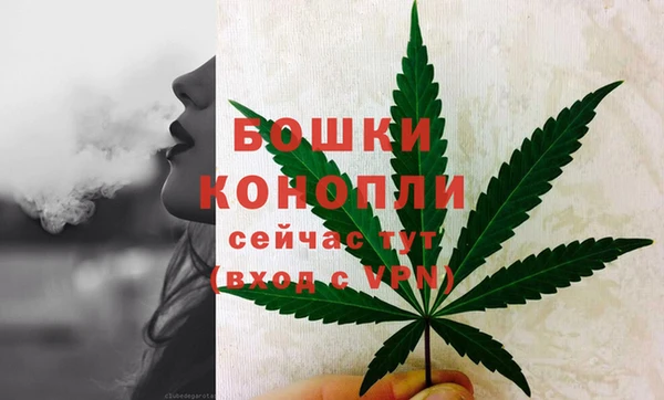 стафф Заводоуковск