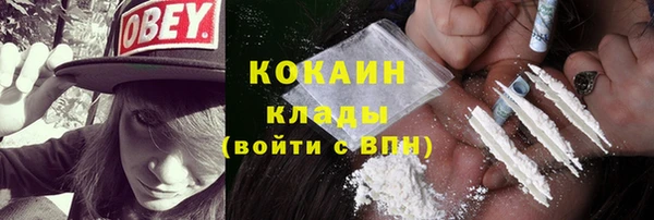 стафф Заводоуковск